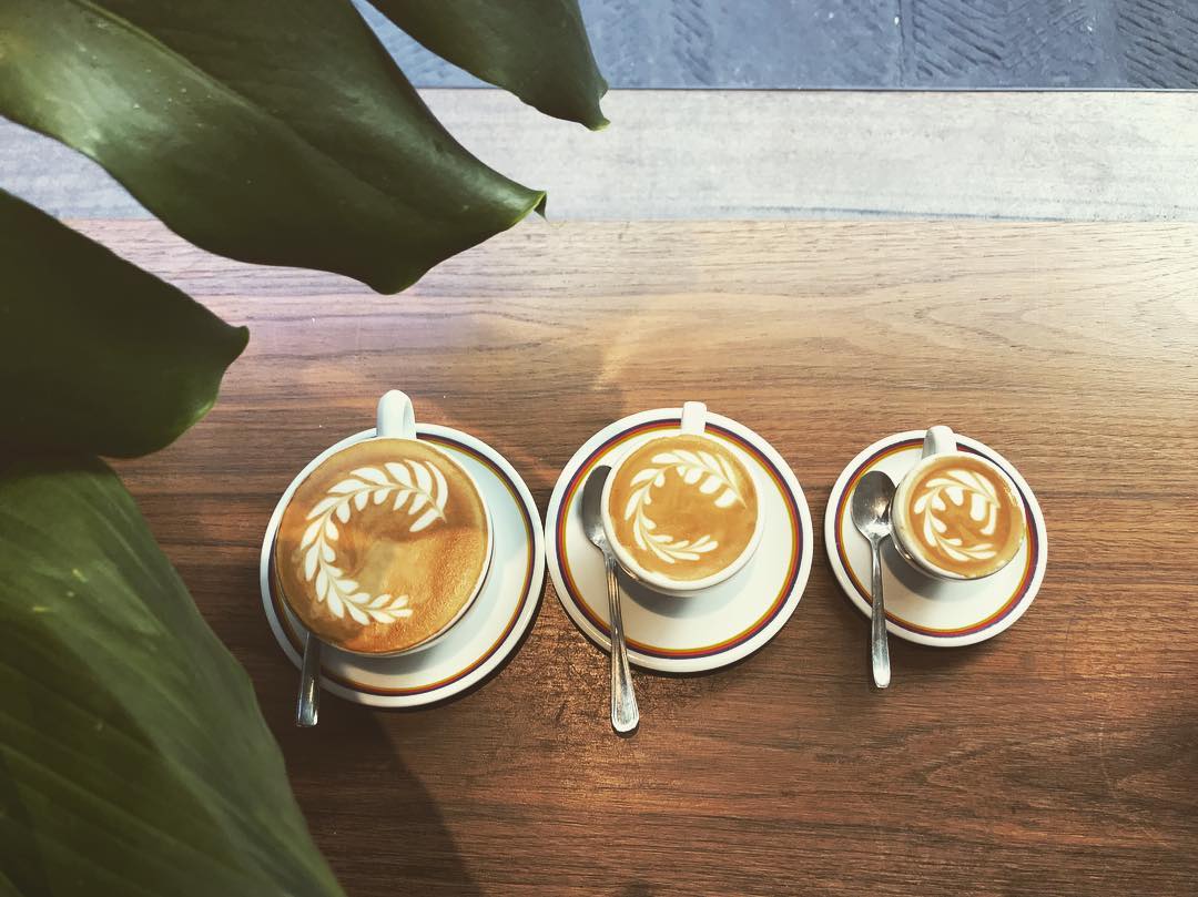 DITTA-cappuccini.jpg DITTA-cappuccini.jpg