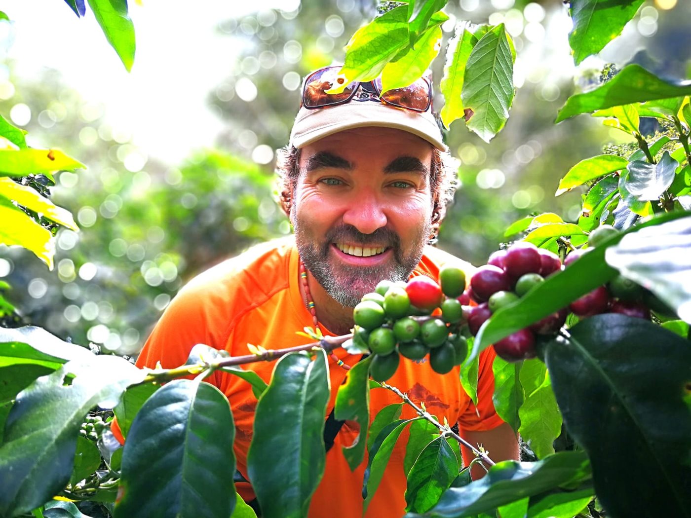 Borea-Roasters.JPG Borea-Roasters.JPG
